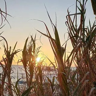 Marelibero Σπίτι διακοπών Marina di San Vito